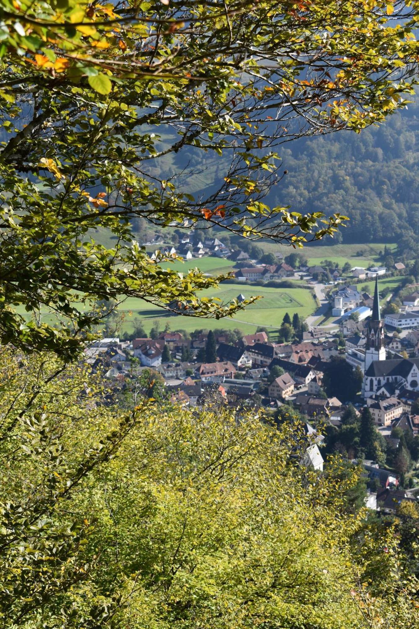 GartenFerienhaus AnnaLuise Schönau im Schwarzwald Exterior foto