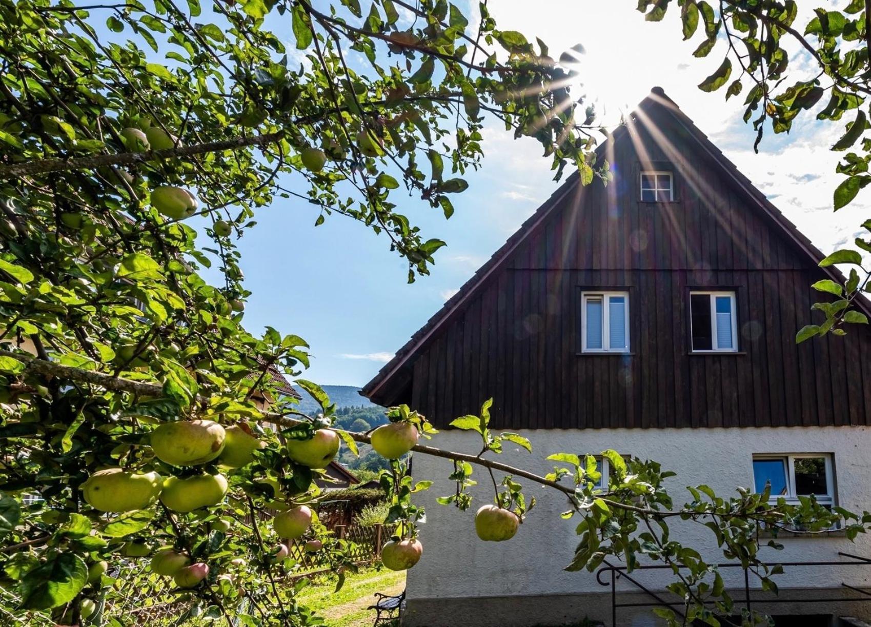 GartenFerienhaus AnnaLuise Schönau im Schwarzwald Exterior foto