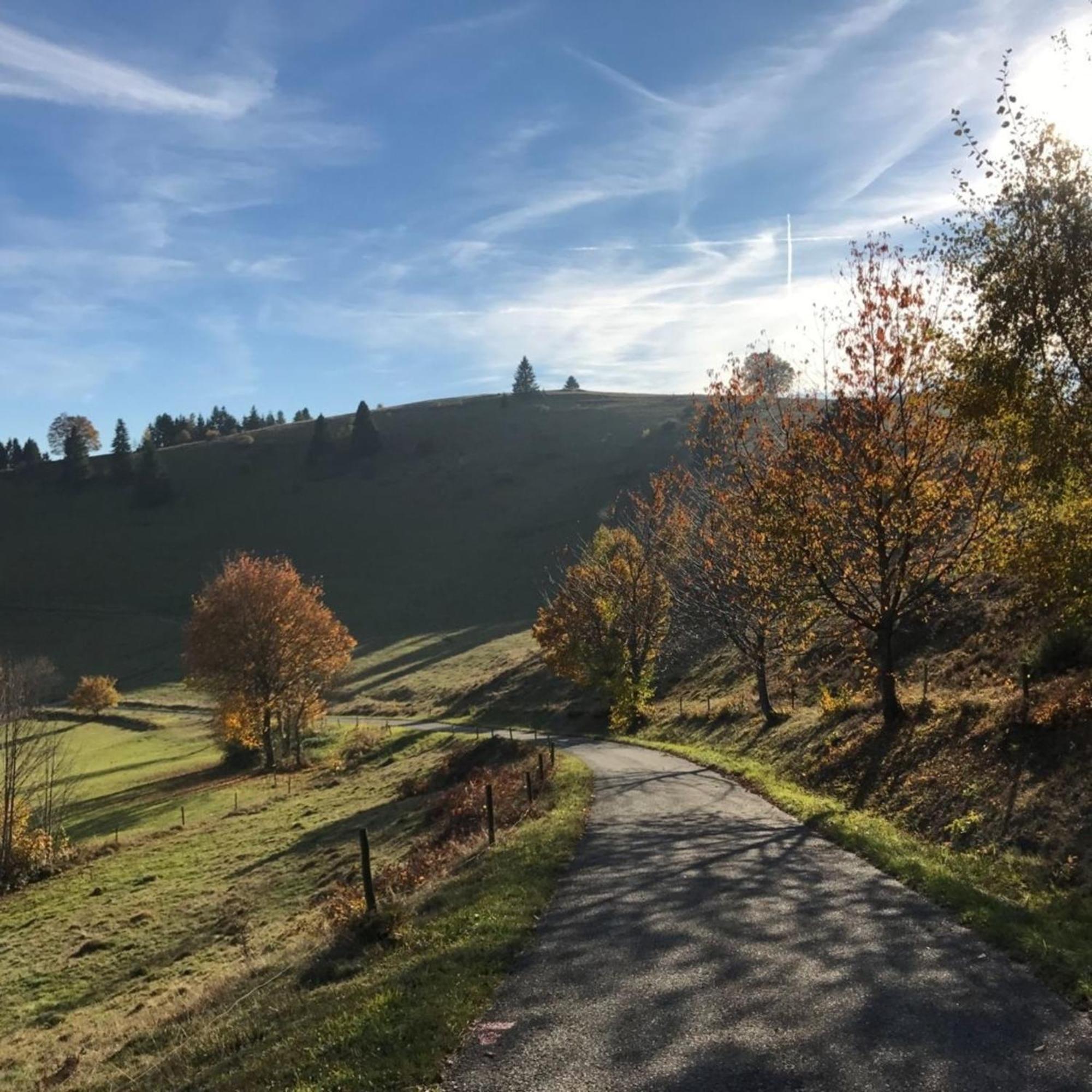 GartenFerienhaus AnnaLuise Schönau im Schwarzwald Exterior foto