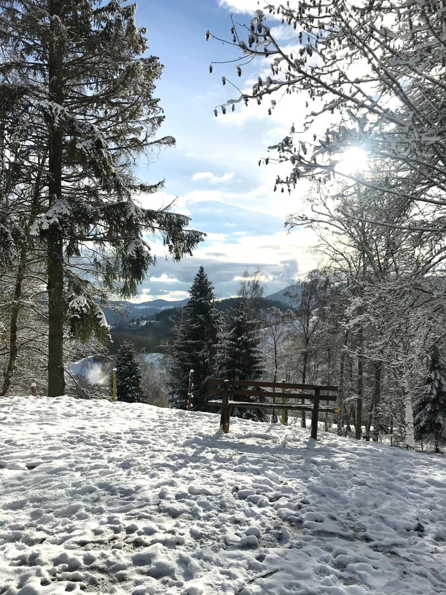 GartenFerienhaus AnnaLuise Schönau im Schwarzwald Exterior foto